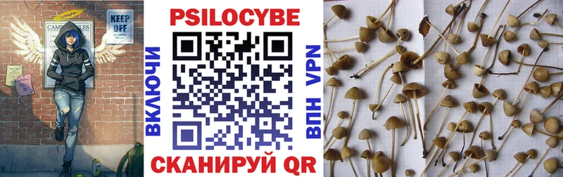 Купить закладки  Кудрово  Галлюциногенные грибы прущие грибы 